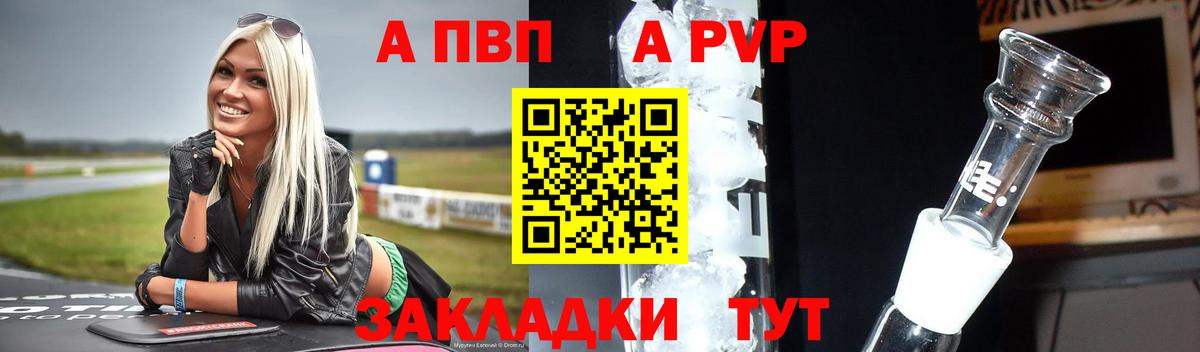 Alfa_PVP СК Люберцы
